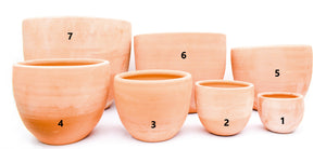 Macetas de terracota