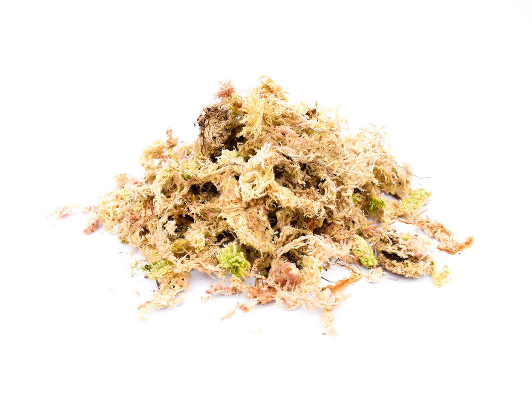 Musgo sphagnum (blanco)